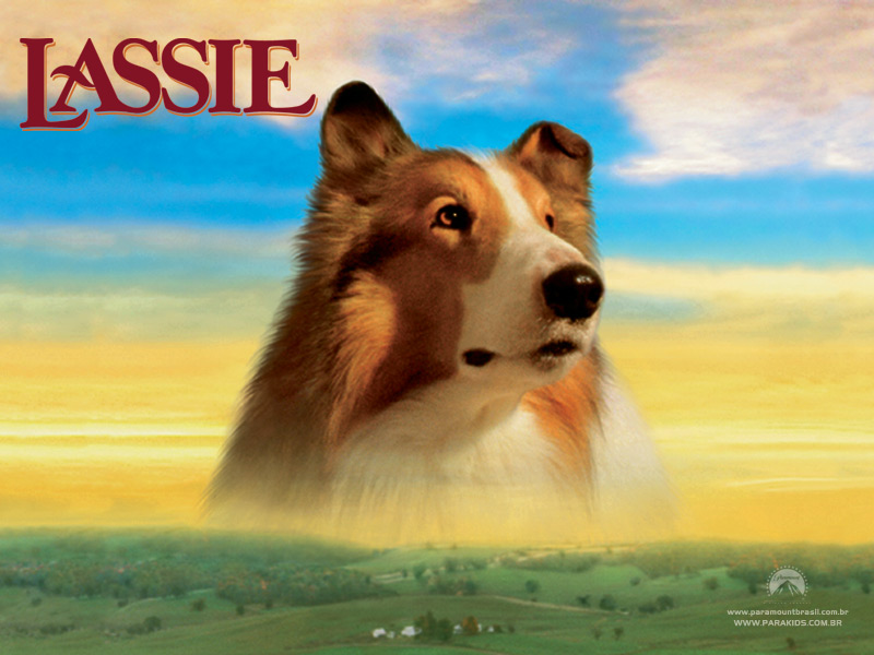 lassie1.jpg